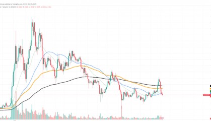 暴跌性崩盘后，值得关注的3个狗狗币 (DOGE) 价格水平