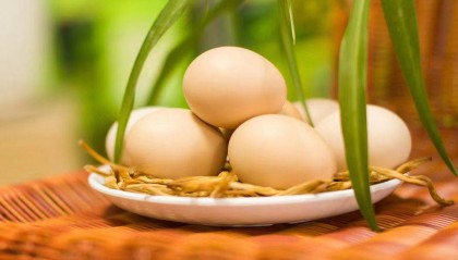 2024.8.21今日鸡蛋价格