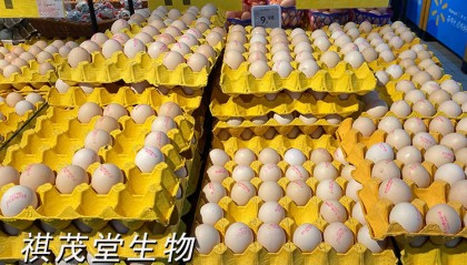 八月蛋鸡价格最新行情：全国多数鸡蛋价格上涨明显，下半年蛋价行情走势如何？