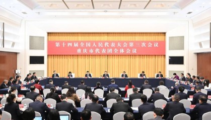 重庆代表团审议政府工作报告 袁家军胡衡华王炯张轩参加