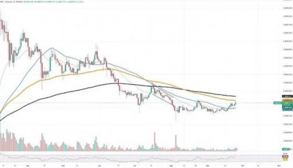 SHIB迎来看涨走势，XRP即将突破？SOL能否回升至150美元？