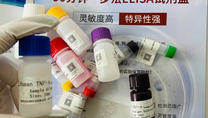 推荐：L-Proline-13C5 99 atom % 13C, 99% (CP)