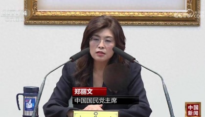 郑丽文：全世界都奉行一个中国政策，不支持“台独”