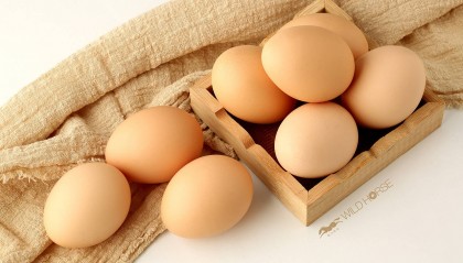 2024.8.22今日鸡蛋价格