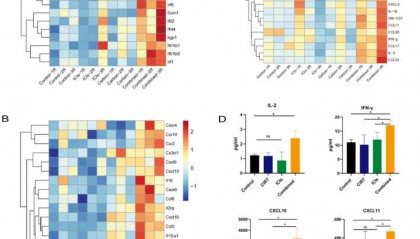 LabEx Luminex平台助力癌症的治疗研究