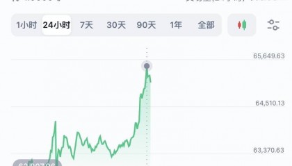 比特币突破6.5万美元，狗狗币、柴犬币等跟涨