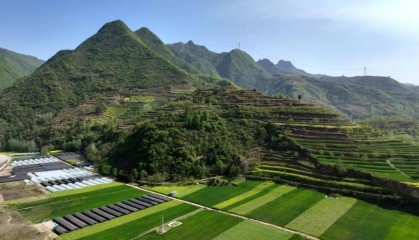 甘肃省各级单位包片支持兰州两山绿化工作持续推进