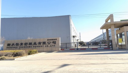 河北冀州区：“衡水怡青舒袜业”有限公司未签劳动合同且未缴纳社保，引发员工权益关注