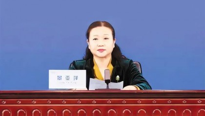 博士女局长，被查