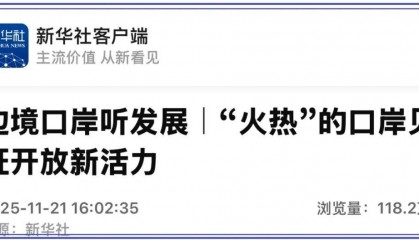 边境口岸听发展|“火热”的口岸见证开放新活力
