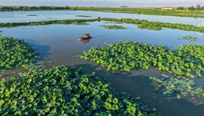 安徽庐江：乡村音乐会 艺术进景区