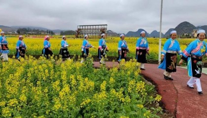 平坝：千名民族服饰爱好者上演“油菜花田秀”