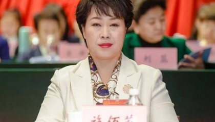 官方披露：施佰芝涉嫌严重违法犯罪