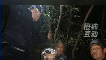 “我现在在树上，野猪在下面……”杭州一男子深夜报警！