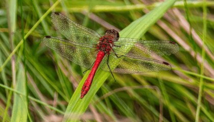 什么是个股期权合约交易？