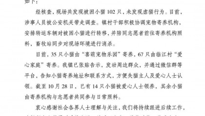 “成都一空置房非法囤猫”？官方通报：共发现被困小猫102只，未发现虐猫行为