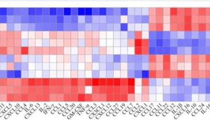 LabEx Luminex平台助力探索预测ICIs 对鼻咽癌疗效的可靠生物标志物