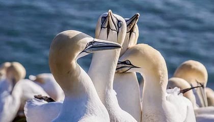 汇市动荡一周: 交易员无惧人民币波动 日元不涨反跌最意外