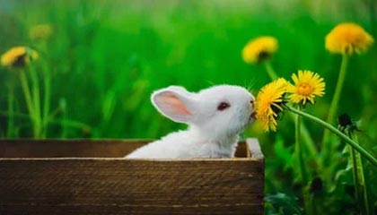 特朗普语出惊人:虽然中国的船造的多,但美国在两个方面遥遥领先