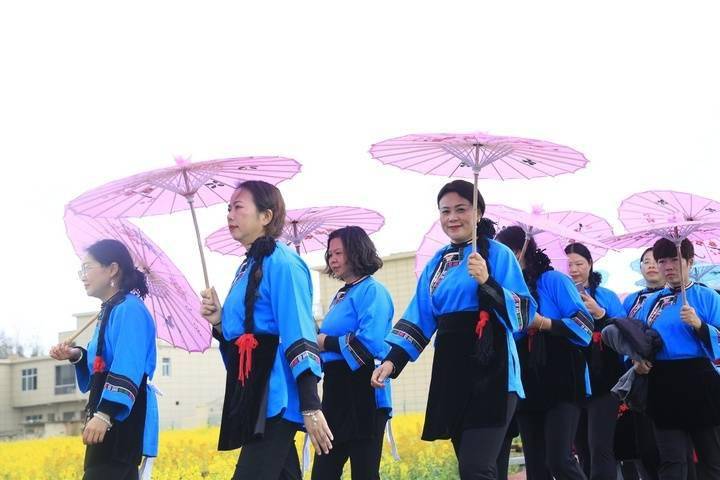 平坝：千名民族服饰爱好者上演“油菜花田秀”