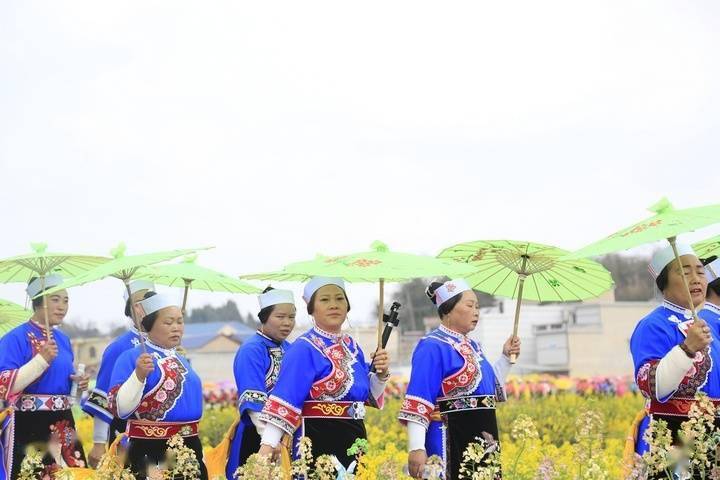 平坝：千名民族服饰爱好者上演“油菜花田秀”