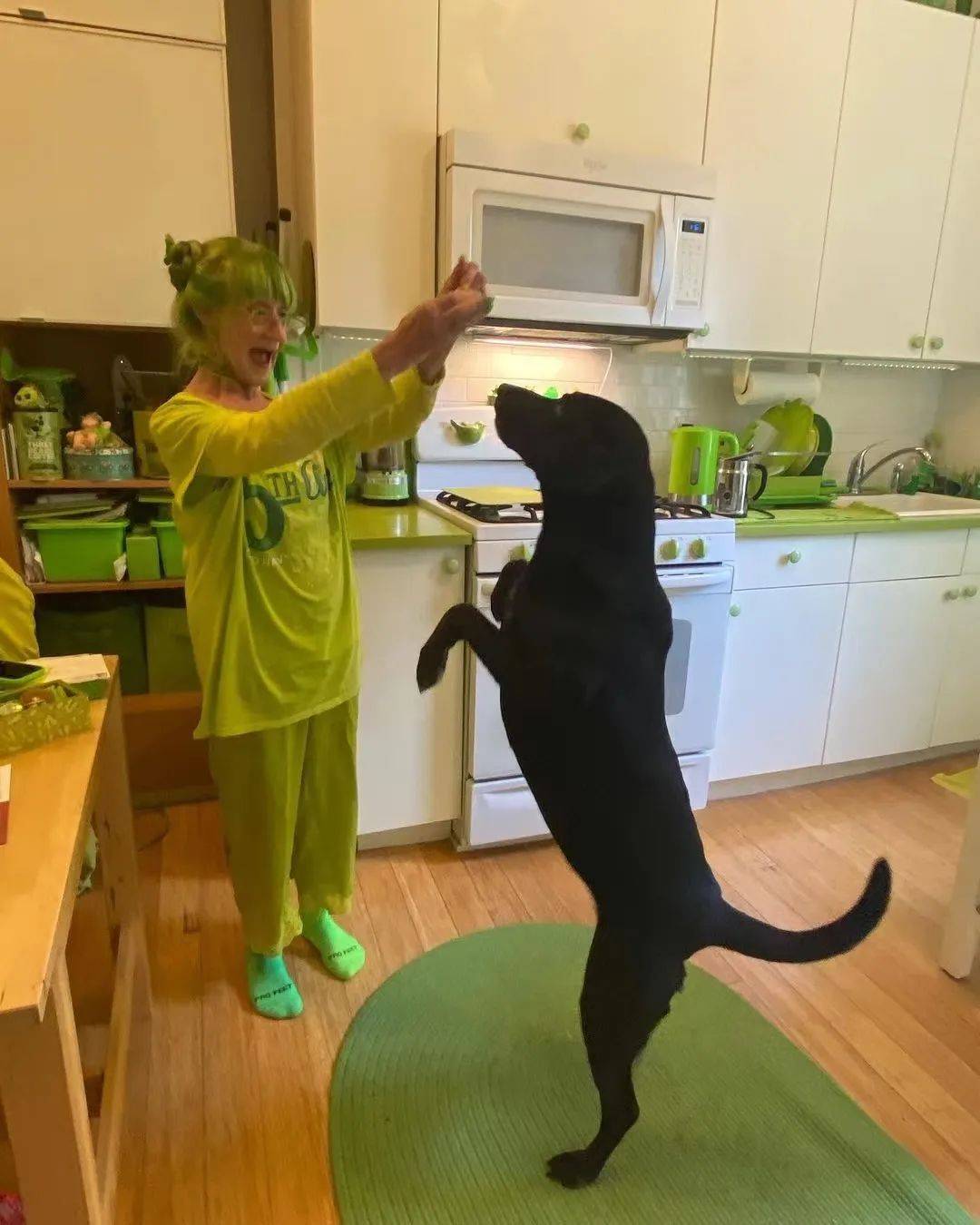 全球最火的“网绿奶奶”，染绿色头发，住绿色的家！为自己而活的人生态度，太酷啦！