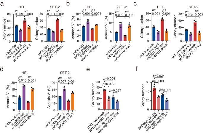 骨髓瘤相关生物标志物研究：LabEx多因子检测平台助力