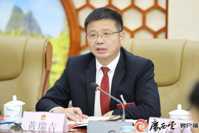 黄瑞吉,严重损害党的形象、都安的形象