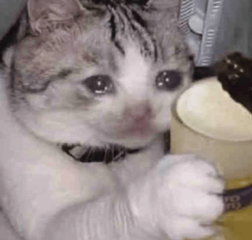 “不亚于春节回家”!凌晨5点,深圳有人已经堵在路上……