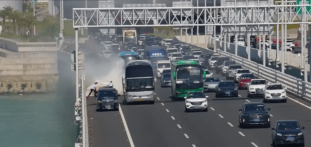 粤B·97821D、粤Z·AG85澳、粤T·91736,你们被拍下来了!