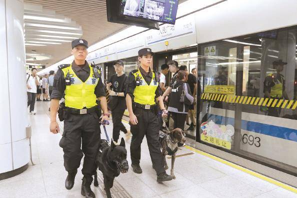 新民特稿|“公务汪”护轨20年