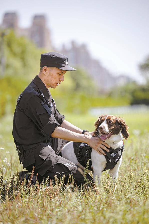 新民特稿|“公务汪”护轨20年