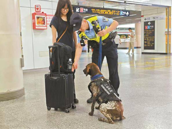 新民特稿|“公务汪”护轨20年