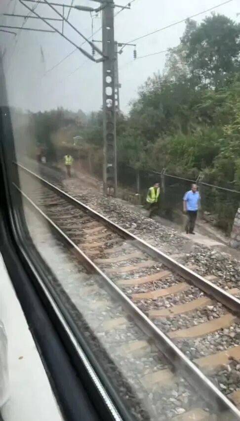 湖北一列车撞上野猪致停运,铁路局:野猪已无害化处理,列车正常运行;附近曾发生多起野猪伤人事件