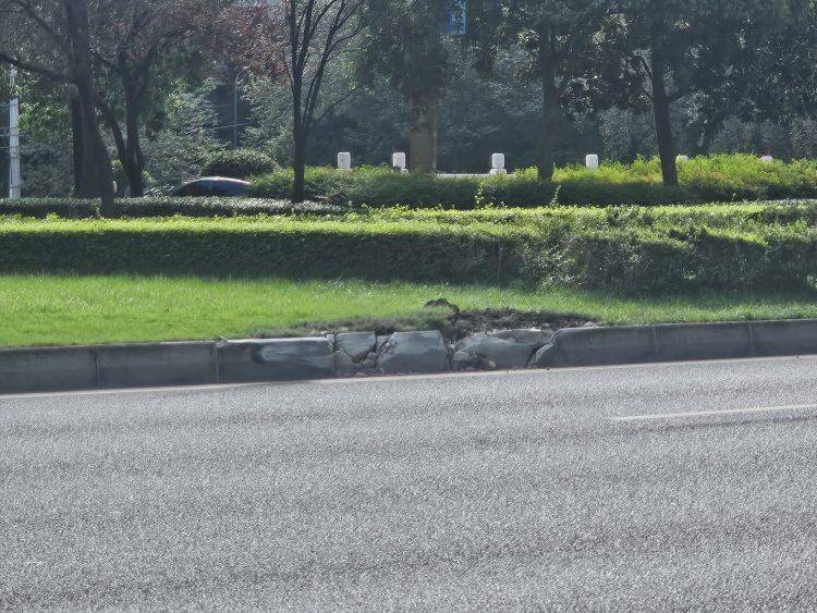 成都发生一起严重交通事故,上游新闻实地探访:燃烧留下的印记仍在