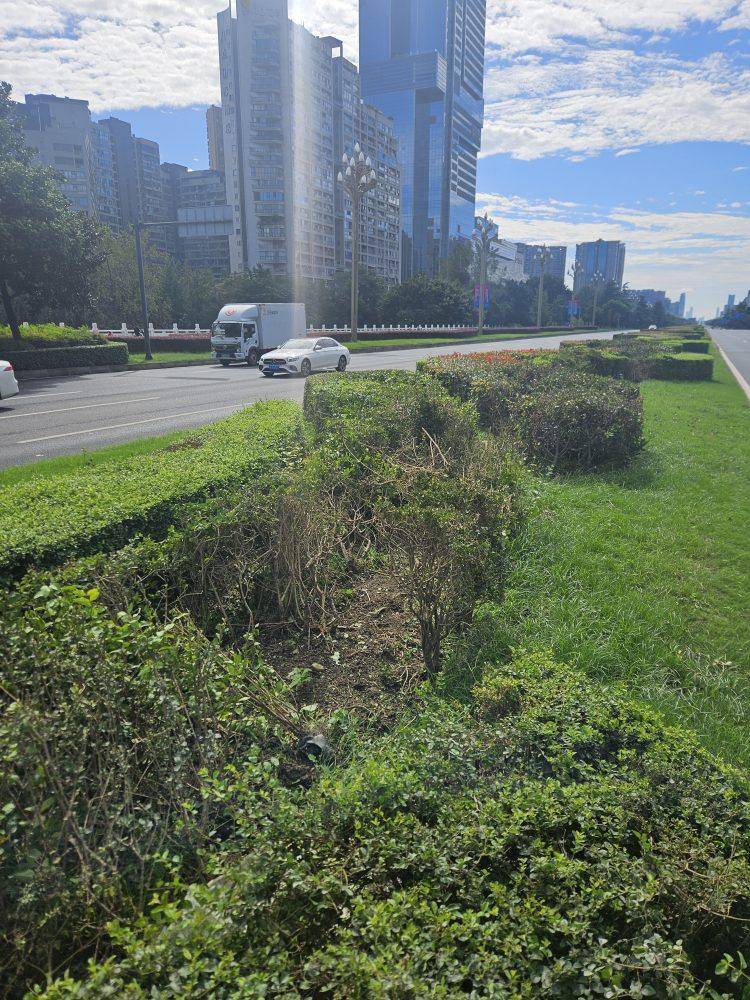 成都发生一起严重交通事故,上游新闻实地探访:燃烧留下的印记仍在