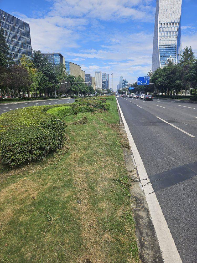 成都发生一起严重交通事故,上游新闻实地探访:燃烧留下的印记仍在