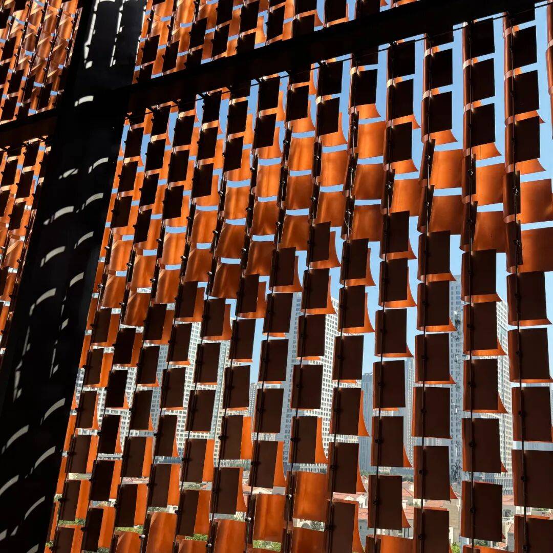 合肥新地标!今起免费开放