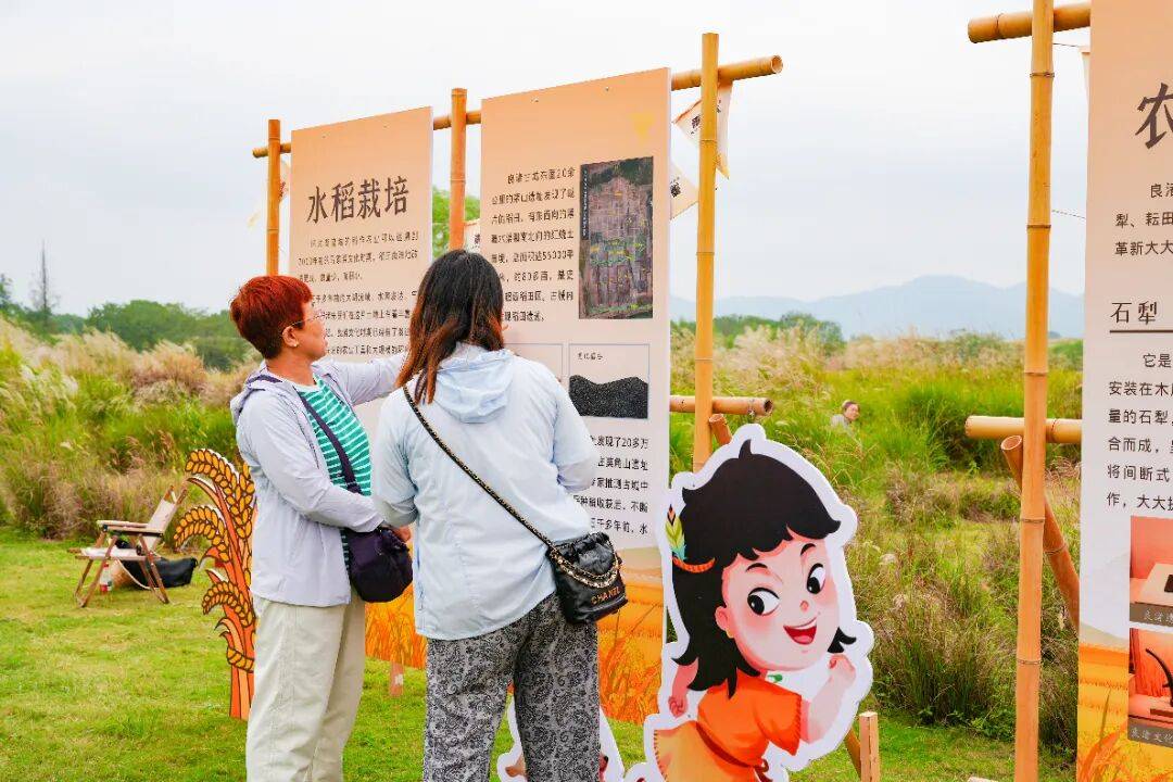 良渚遇“稻”你 | 秋季活动正当时