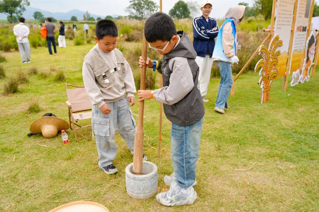 良渚遇“稻”你 | 秋季活动正当时