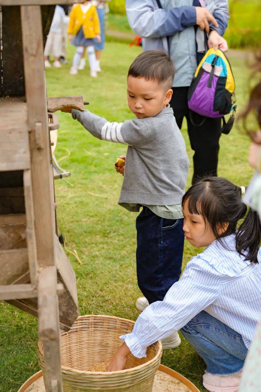 良渚遇“稻”你 | 秋季活动正当时