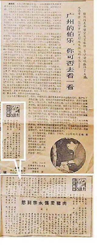 边卖猪肉边自学,三年翻译十多万字,被报道后“逆天改命”成大学教授,他寄语年轻人