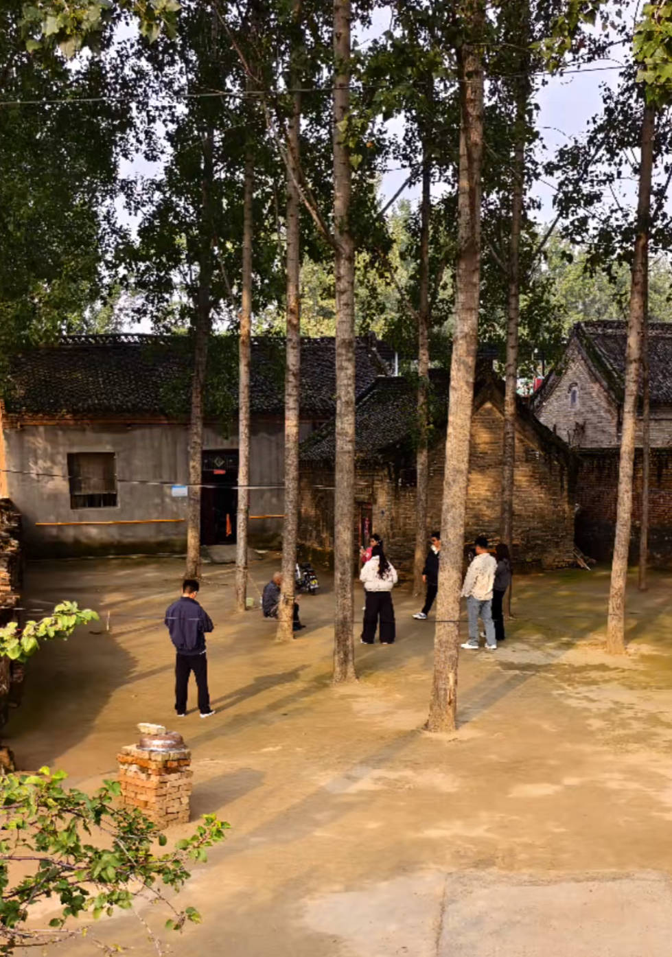 河南一大爷的院子因干净成网红打卡地,网友:像极了小时候家的样子,想拖鞋光脚丫子走