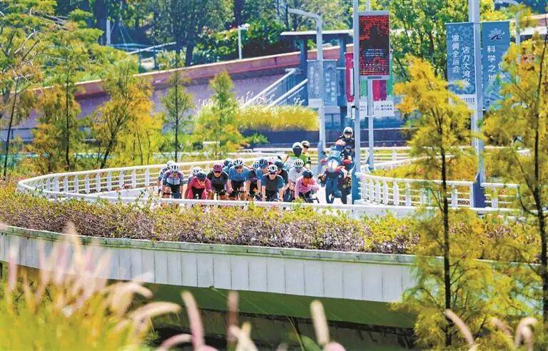 十五运会热力“燃”动鹏城