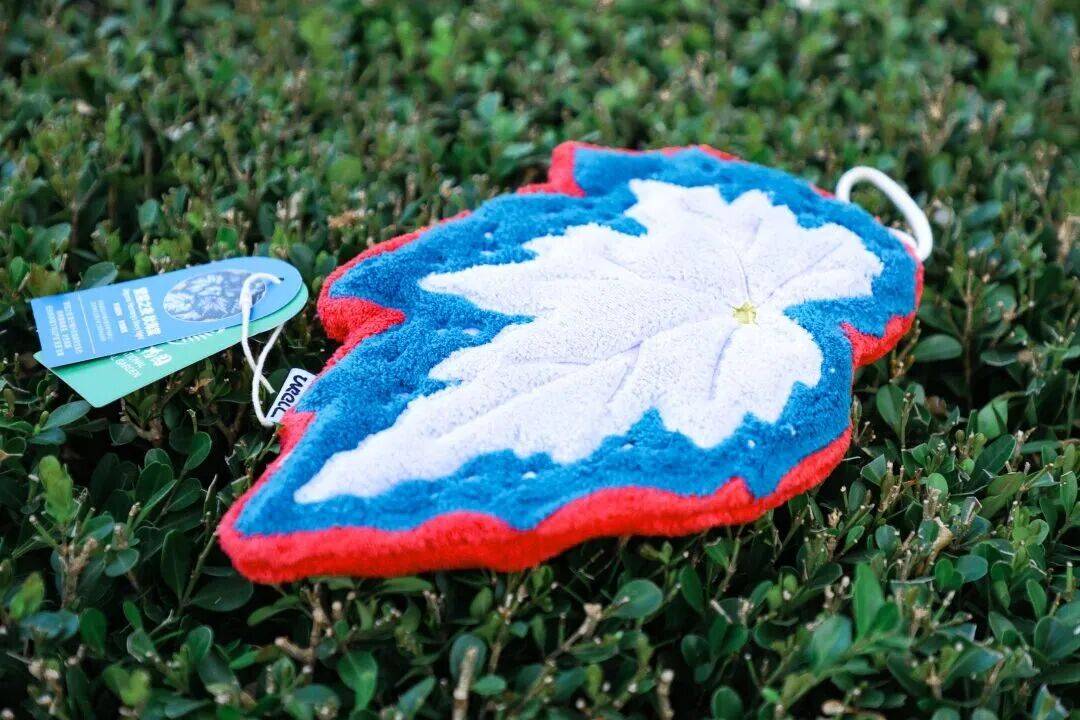 绝美!北京秋季颜值已达巅峰!这样定格最美秋天!