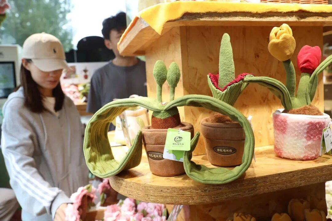 绝美!北京秋季颜值已达巅峰!这样定格最美秋天!