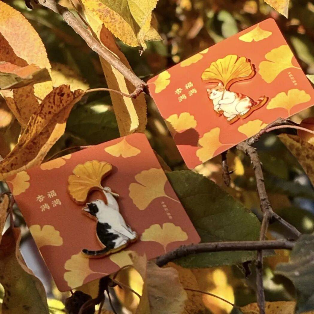 绝美!北京秋季颜值已达巅峰!这样定格最美秋天!