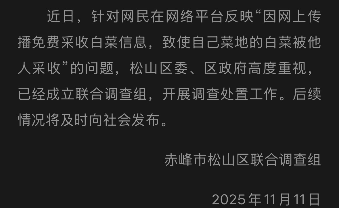 赤峰通报“因网传白菜免费信息，致菜农白菜地被他人采收”一事：已成立联合调查组