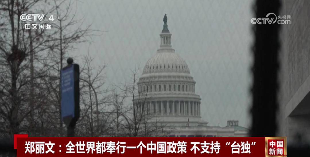 郑丽文：全世界都奉行一个中国政策，不支持“台独”
