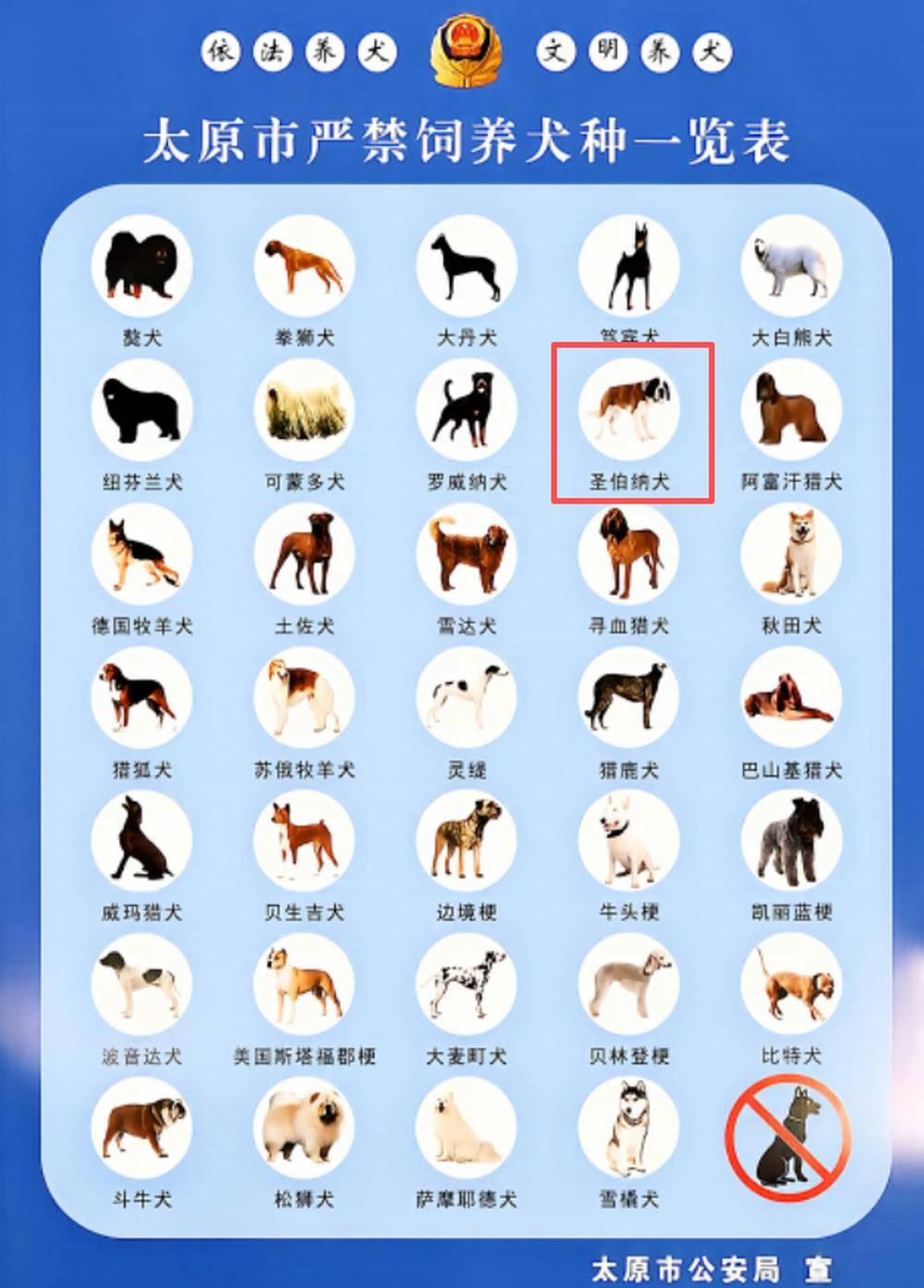 太原长风东街突发烈犬扑咬少年！违规饲养禁养犬种圣伯纳犬，犬主被行政拘留